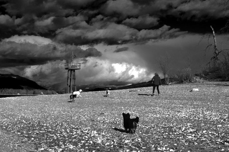 1/400, f9, ISO 100, 34mm, 4:48 pm