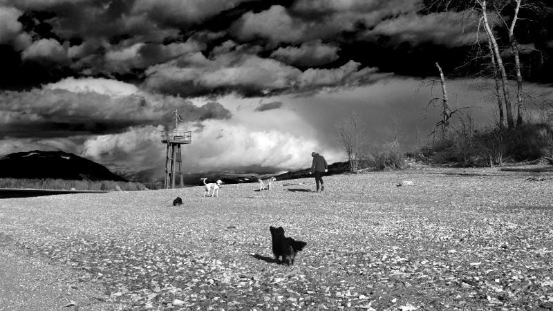 1/400, f9, ISO 100, 34mm, 4:48 pm