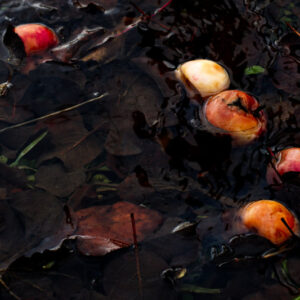 1/80, f5.6, ISO 320, 53 mm, 4;01 pm