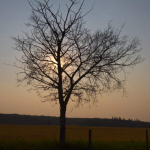 1/1600, f7, ISO 100, 24 mm, 6:41 pm