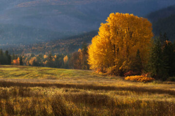 1/80, f9, ISO 200, 55 mm, 8:58 am