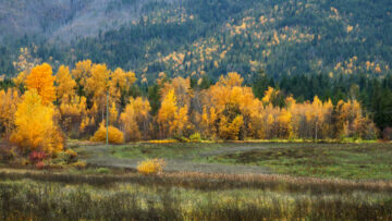 1/15, f9, ISO 100, 55 mm, 9:30 am