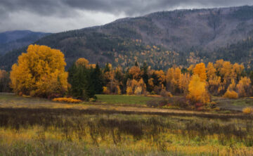 1/50, f9, ISO 200, 26 mm, 9:18 am