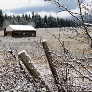 1/100, f18, ISO 1600, 38 mm, 10:12 am