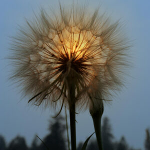 1/320, f11, ISO 200, 40 mm, 5:37